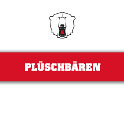Plüschbären