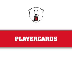 Playercards