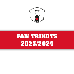 Fan - Trikots 2023-24