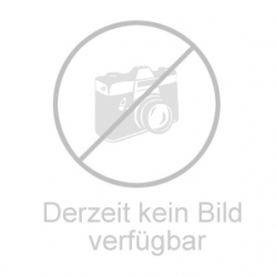 29 - BRANDT