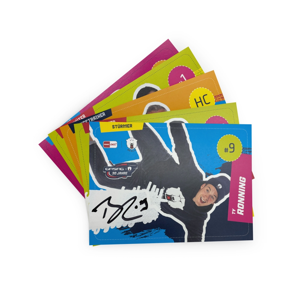 Eisbären Berlin - Autogrammkarten-Satz 2025-26 - SIGNIERT