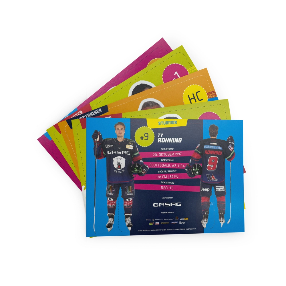 Eisbären Berlin - Autogrammkarten-Satz 2025-26 - SIGNIERT