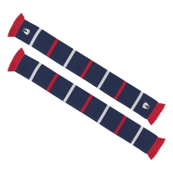 Eisbären Berlin - Schal - Block - navy