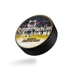 Eisbären Berlin - Puck - Team und Pokal - Meister 2026