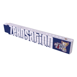 Eisbären Berlin - Meister 2024 - Zollstock - Zehnsation