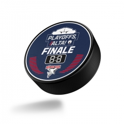 Eisbären Berlin - Spieltagspuck - Finale 2025