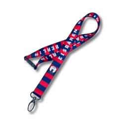 Eisbären Berlin - Lanyard - Blockstreifen
