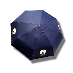 Eisbären Berlin - Regenschirm - blau - klein
