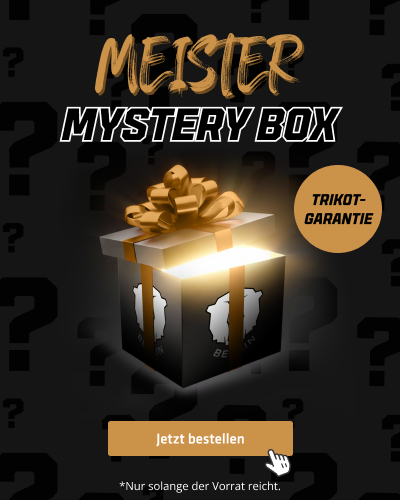 Eisbären Berlin - Meister Mystery Box